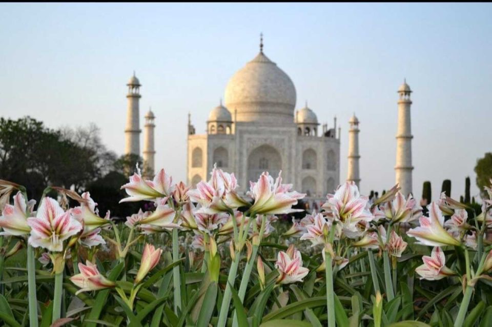 Agra: Round Trip, Full-Day Private Tour With Taj Mahal Entry - Booking Information