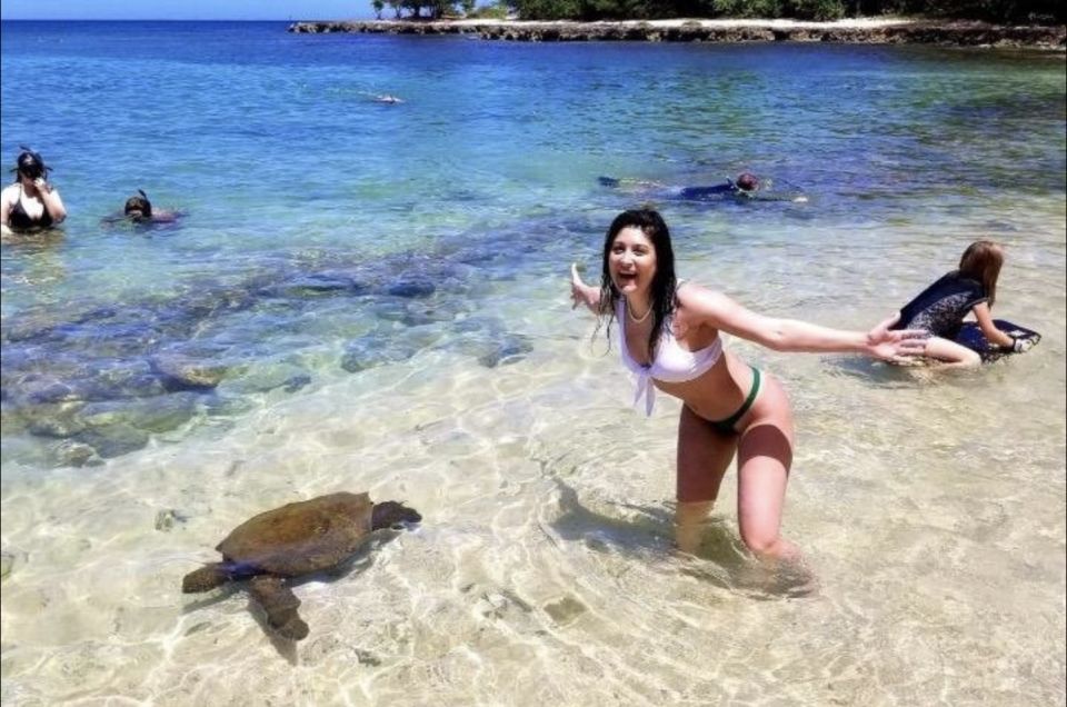 Circle Island: Swim With Turtles And Explore Paradise Oahu - Tour Highlights