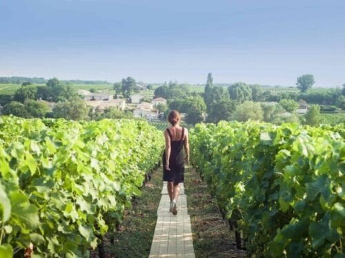 Paris: Discover the Cellars in the Countryside in Champagne - Detailed Itinerary Highlights