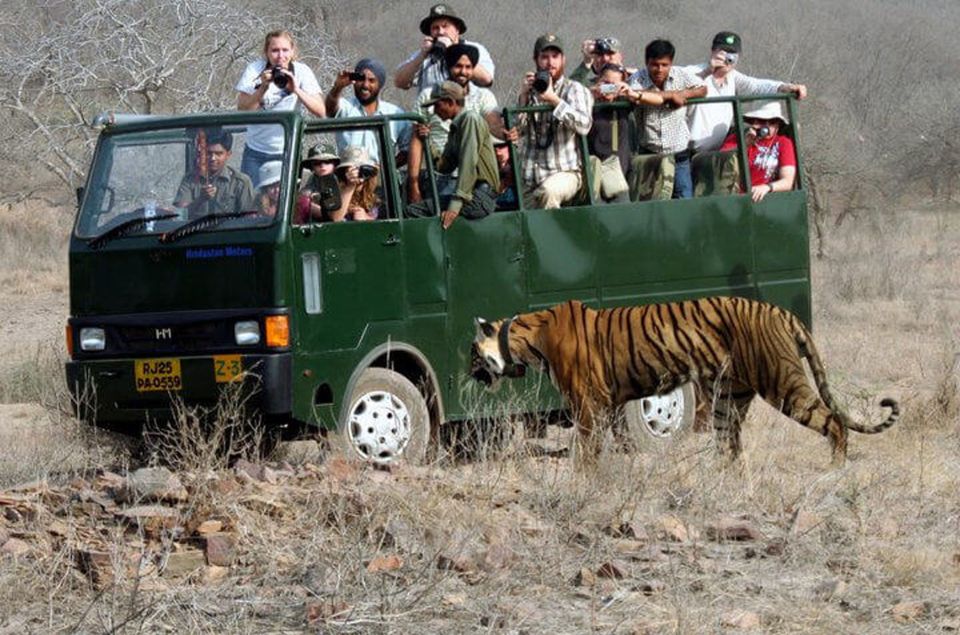 Same Day Tiger Safari Tour From Jaipur All Included - Reservations