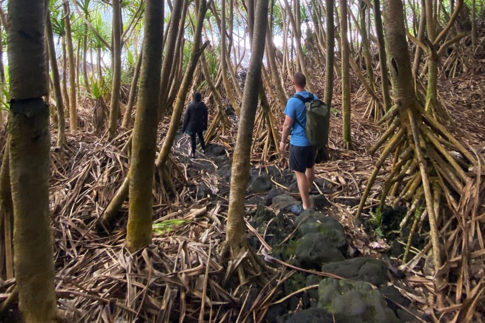 Short Private Hike To Secret Jungle Tide Pool - Hiking Itinerary