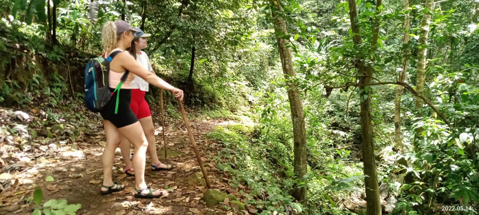 Hiking Adventure Through Grand Etang RainForest - Language and Pickup Details