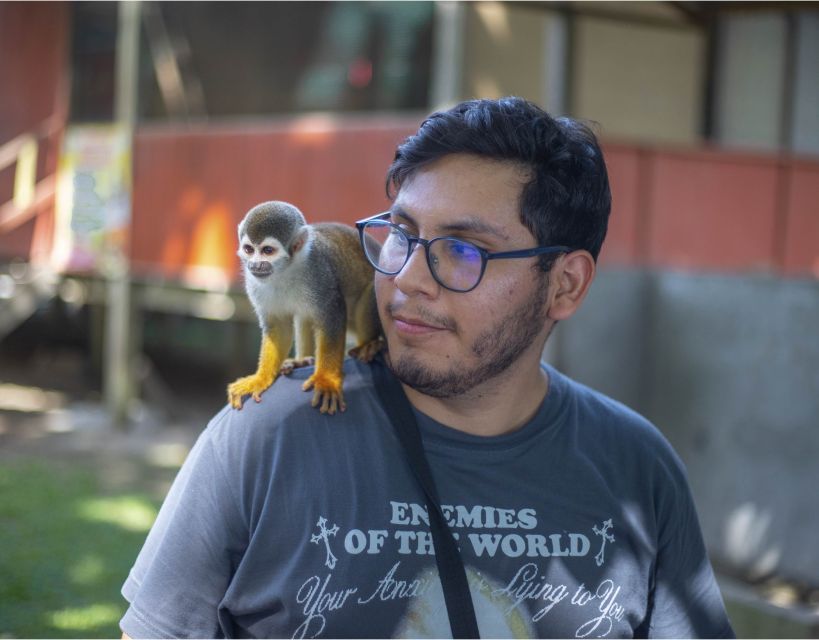 Iquitos (Perú): 3 Days Amazon Lodge By: Canopy Tours Iquitos - Customer Reviews