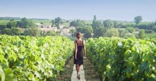 Paris: Discover the Cellars in the Countryside in Champagne - Engagement in Vineyard Tastings