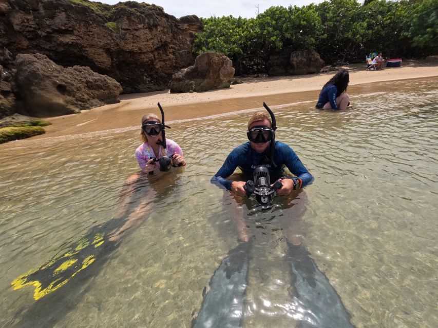 West Palm Beach: Beginner Jet Snorkel Tour With Videos - Tour Description