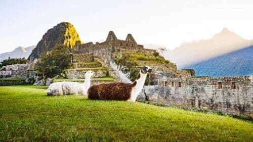 Cusco: Excursion to Machu Picchu by Tourist Train + Tickets - Inclusions