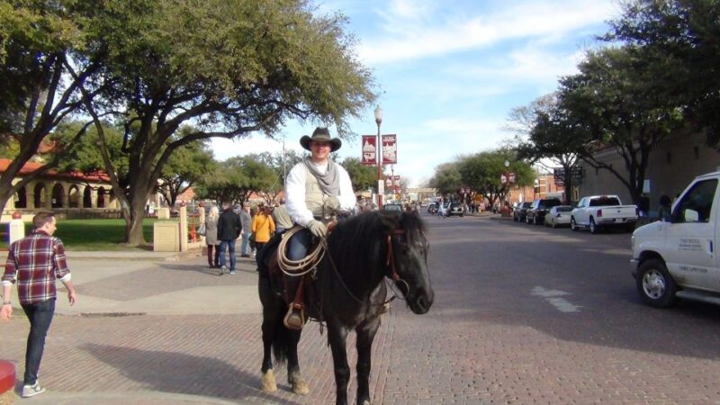 From Dallas: Fort Worth Guided Day Tour - Customer Reviews