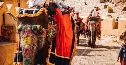 From Delhi: Private Jaipur Guided City Tour With Transfers - Important Information