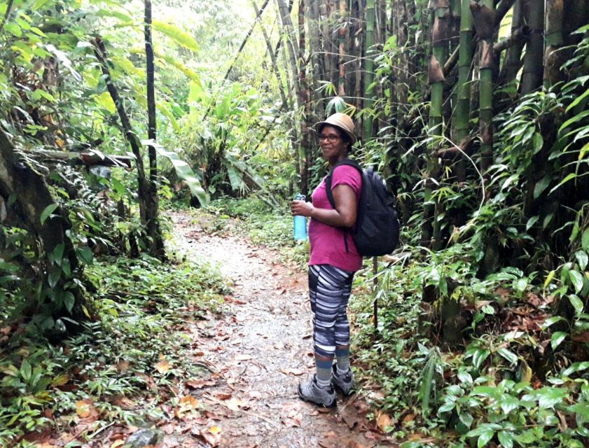 Hiking Adventure Through Grand Etang RainForest - Itinerary Highlights