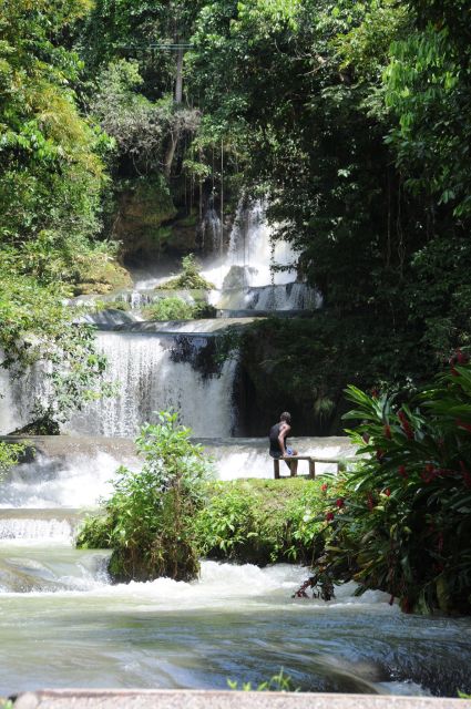 Jamaica: YS Falls and Black River Safari Day Tour - Customer Reviews