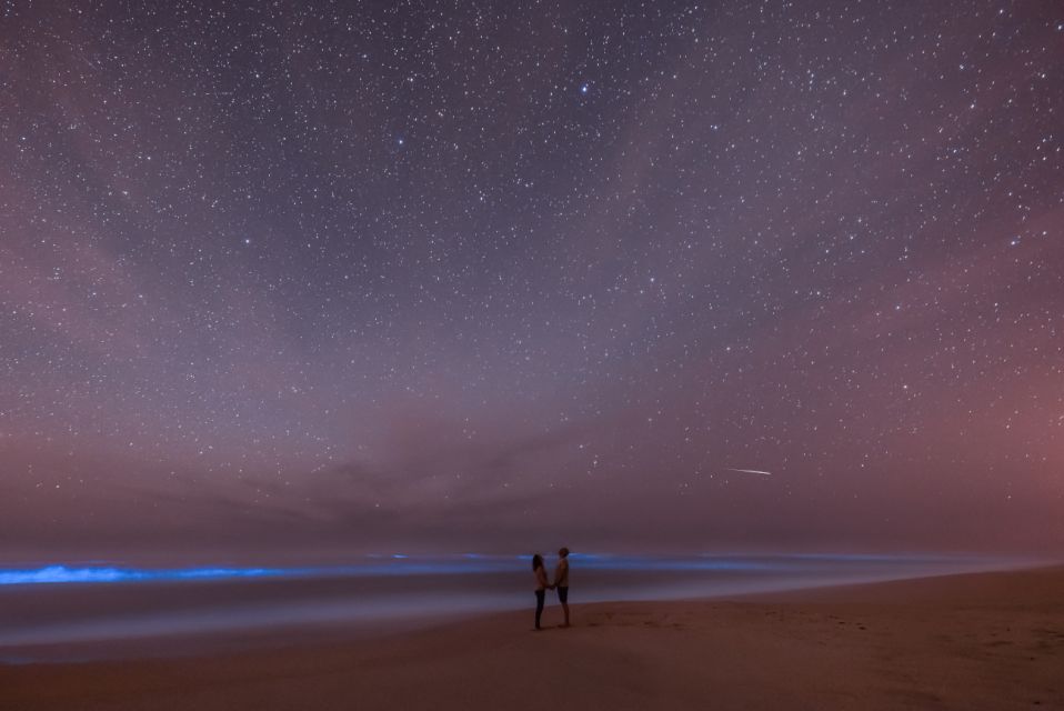 Orlando: Bioluminescence Kayak and Swim Adventure - Inclusions