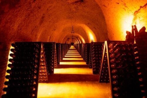 Paris: Discover the Cellars in the Countryside in Champagne - Lunch Experience in Marne