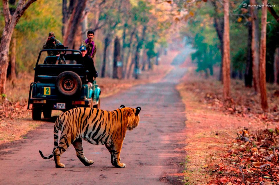 Same Day Tiger Safari Tour From Jaipur All Included - Directions for Pickup