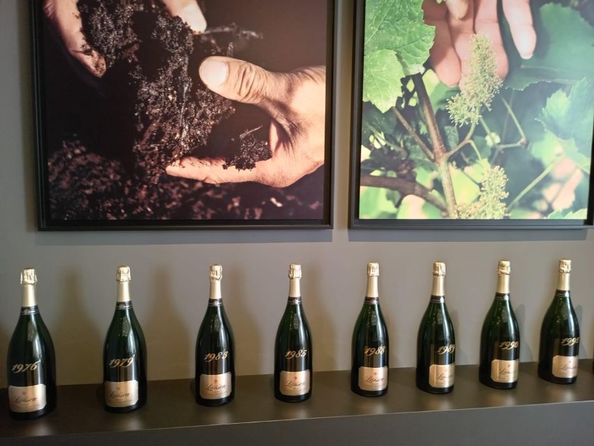 The Champagne Tour - Important Information