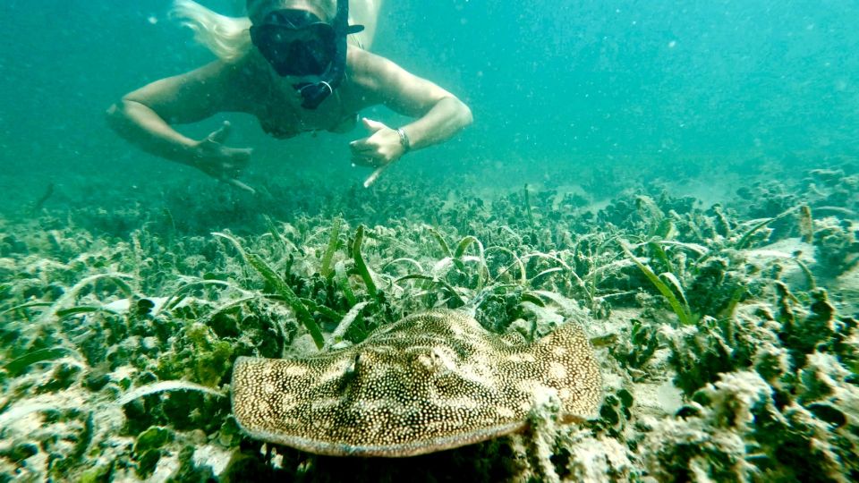 West Palm Beach: Beginner Jet Snorkel Tour With Videos - Additional Information