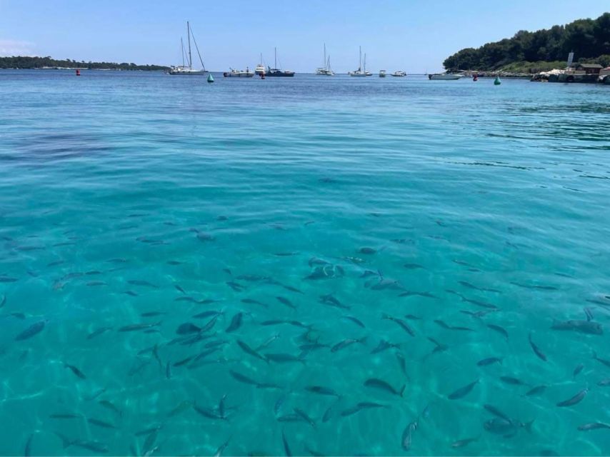 Cannes: Boat Trip Without a License to the Lerins Islands - Common questions