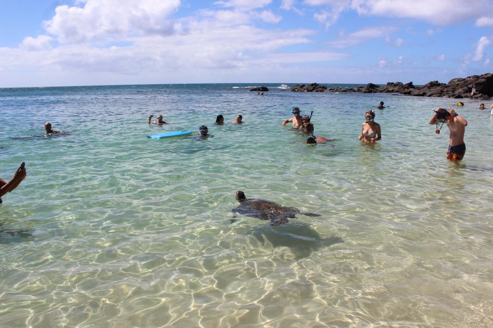 Circle Island: Swim With Turtles And Explore Paradise Oahu - Important Information