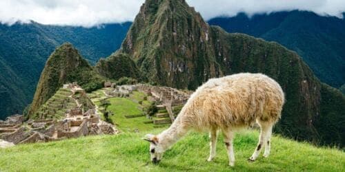 Cusco: Excursion to Machu Picchu by Tourist Train + Tickets - Meeting Point and Availability