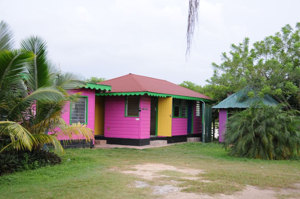 Jamaica: YS Falls and Black River Safari Day Tour - Meeting Points and Important Information