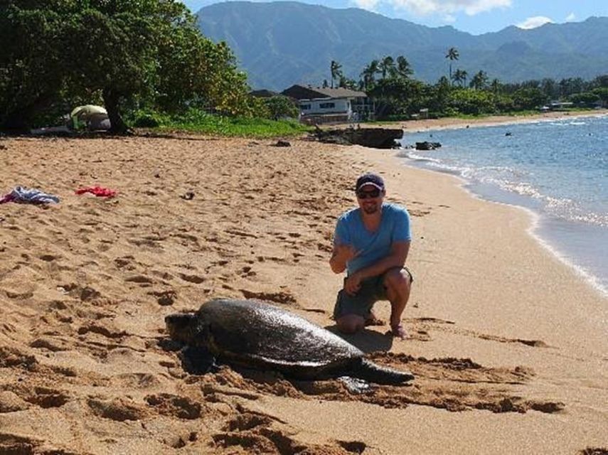 Circle Island: Swim With Turtles And Explore Paradise Oahu - Directions