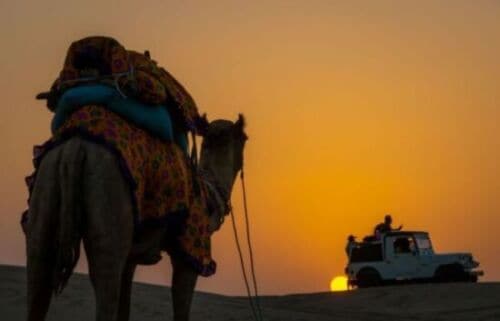 Dazzling Half Day Camel Safari Tour With Sunset at Dunes - Additional Information