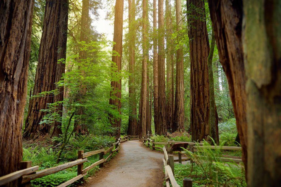 From San Francisco: Muir Woods Guided Bus Tour - Directions