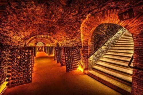 Paris: Discover the Cellars in the Countryside in Champagne - Additional Tour Information