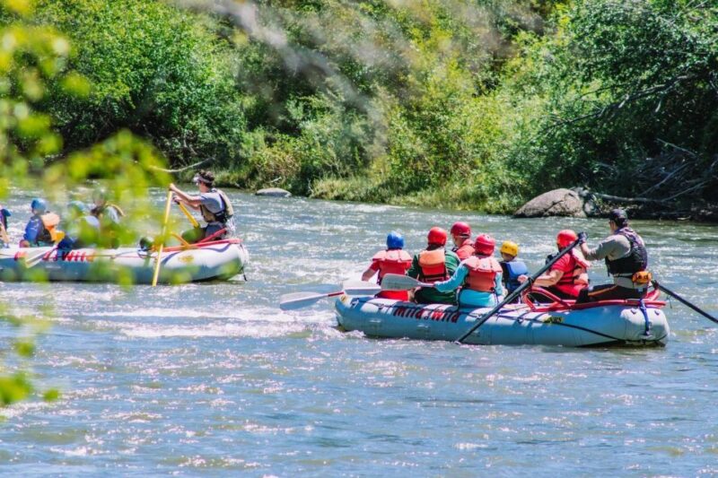 Durango Whitewater Rafting — Half Day Trip - Specific Considerations