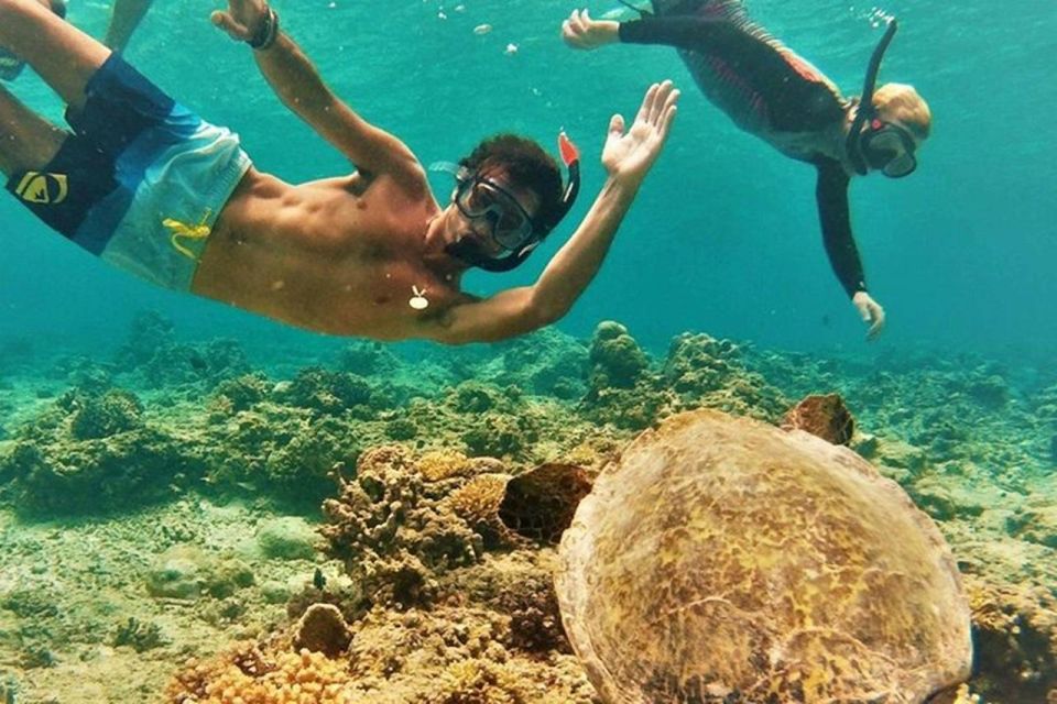 Circle Island: Swim With Turtles And Explore Paradise Oahu - Common questions