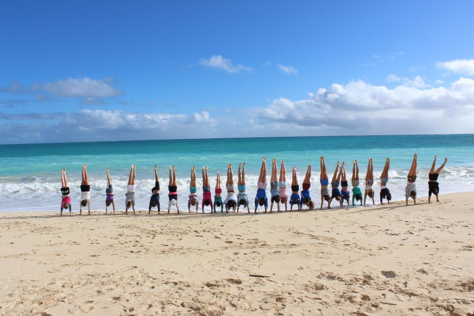 Circle Island: Swim With Turtles And Explore Paradise Oahu - Sum Up