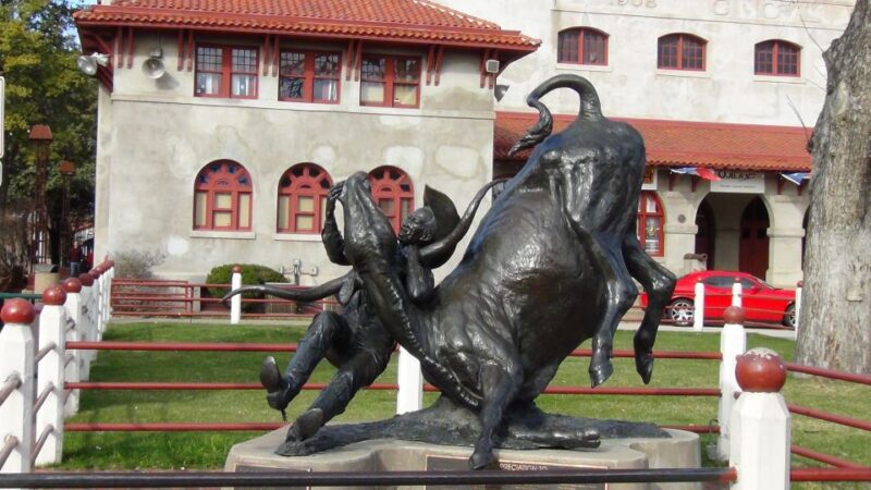 From Dallas: Fort Worth Guided Day Tour - Sum Up