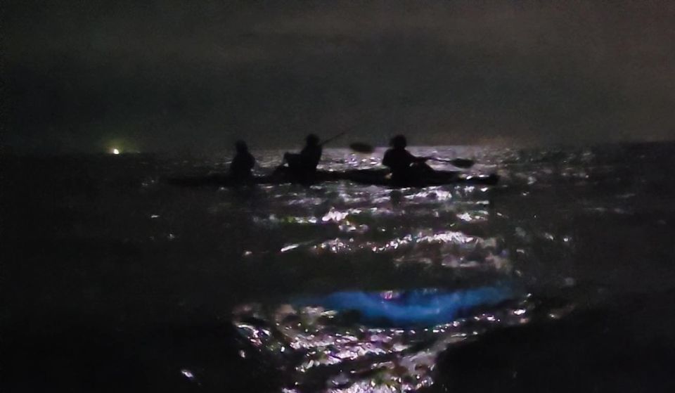 Orlando: Bioluminescence Kayak and Swim Adventure - Common questions