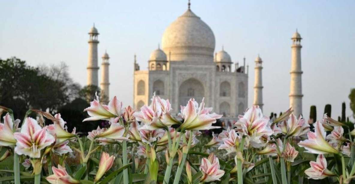 Agra: Round Trip, Full-Day Private Tour With Taj Mahal Entry - Key Points