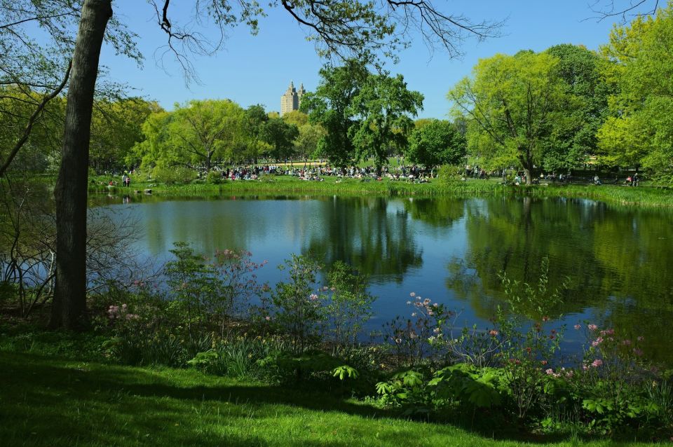 Central Park Photo Safari - Tour Details