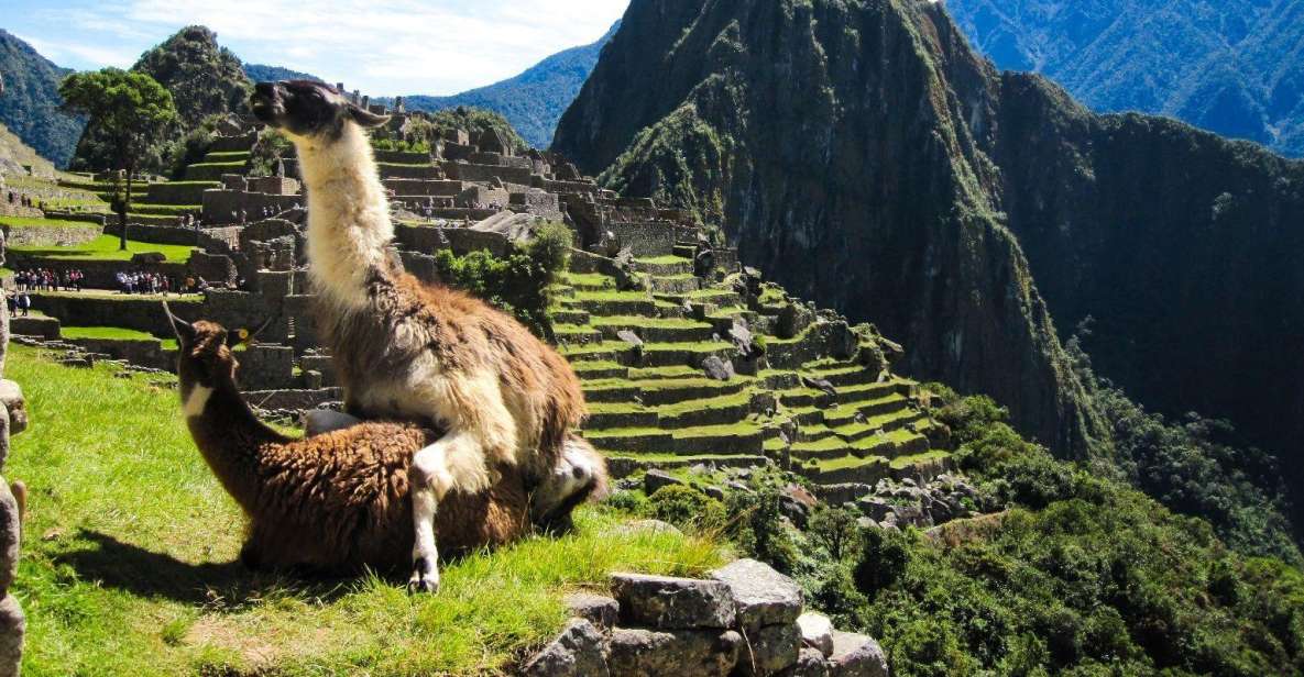 Excursion MachuPicchu-SacredValley-SalinerasMarasMoray 5D4N - Key Points