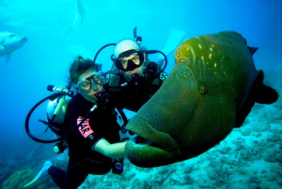 Goa Scuba Diving With Water Sports at Grand Island - Key Points