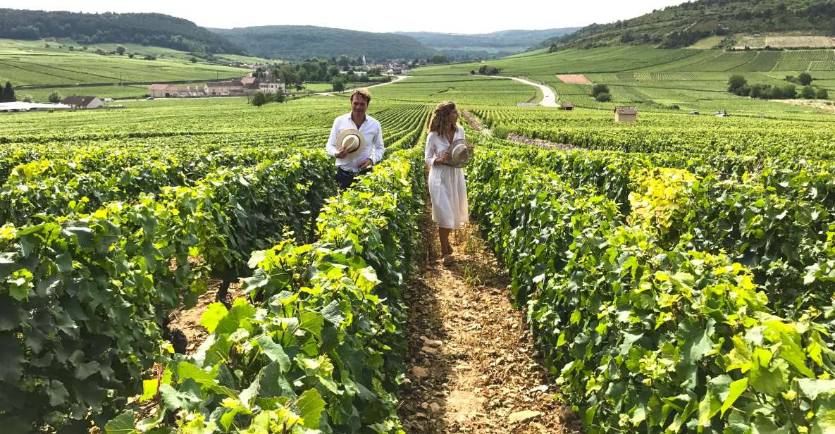 Full Day : the Most of Burgundy With Lunch From Dijon/Beaune - Tour Details