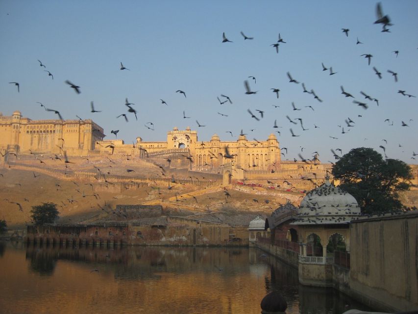 One Day Amer Fort & Jaipur City Tour From Delhi By Car - Tour Details