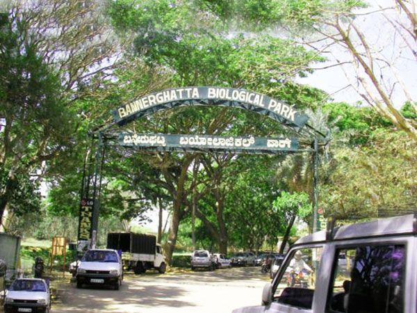 Private Bannerghatta National Park Day Excursion - Excursion Overview