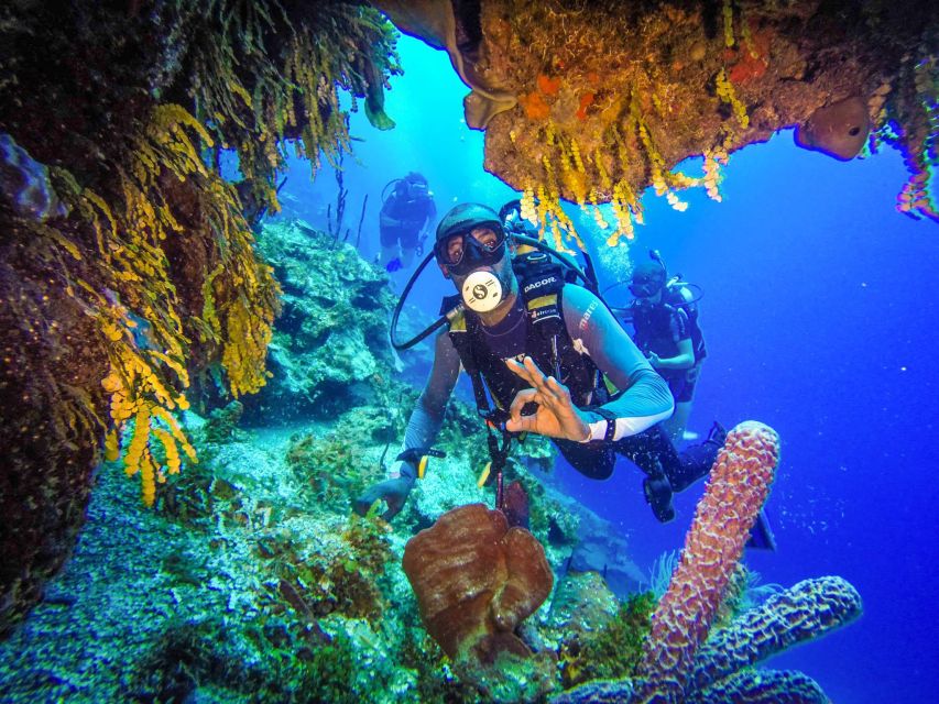 Punta Cana: Explore the Coastline With Our Diving Experience - Experience Details