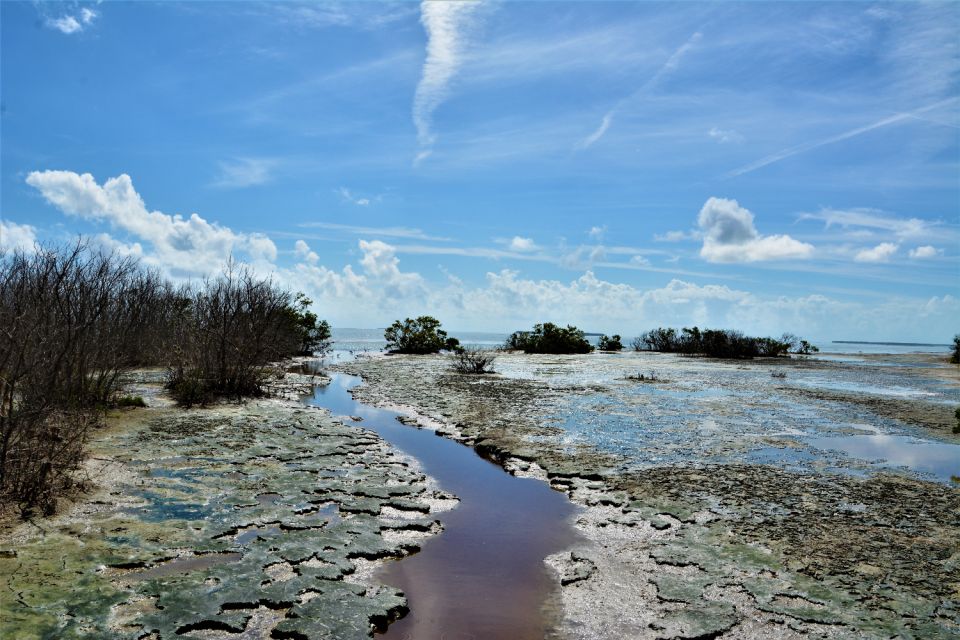 Everglades National Park: Self-Guided Driving Audio Tour - Tour Highlights