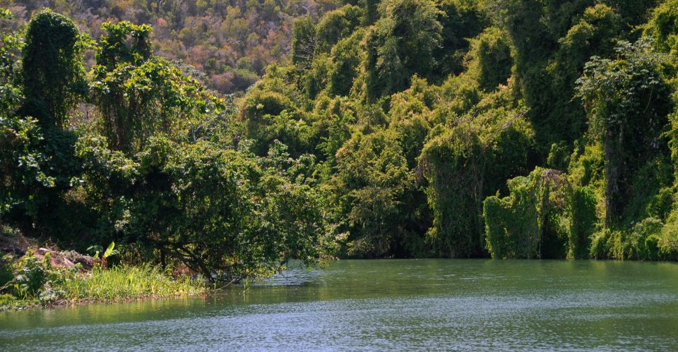 Full Day Buggy Safari With Lunch and Chavon River Tour - Experience Description