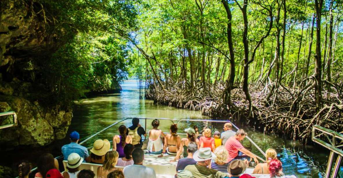 Los Haitises Boat Tour & Natural Pools Spa Cano Hondo - Activity Description