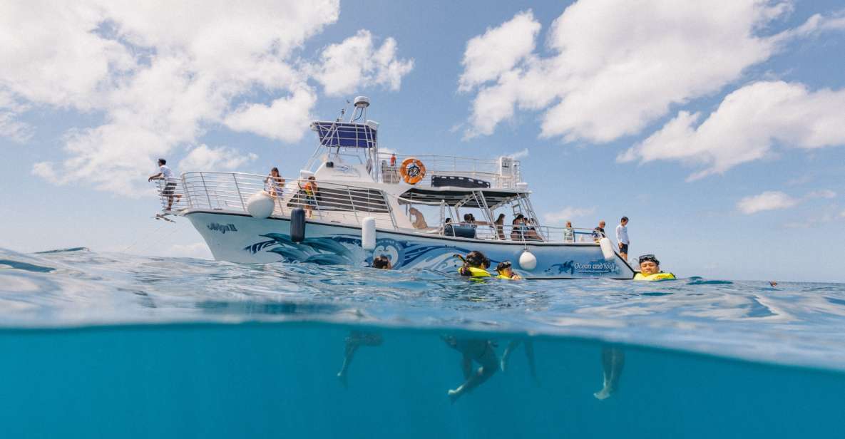 Oahu: Turtle Canyon Snorkeling & Hula Dance - Activity Description