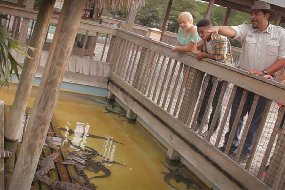 Orlando: Gatorland Interactive Tour With Animal Trainer - Tour Highlights