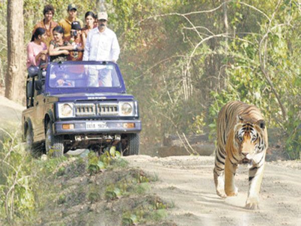 Private Bannerghatta National Park Day Excursion - Pricing and Inclusions