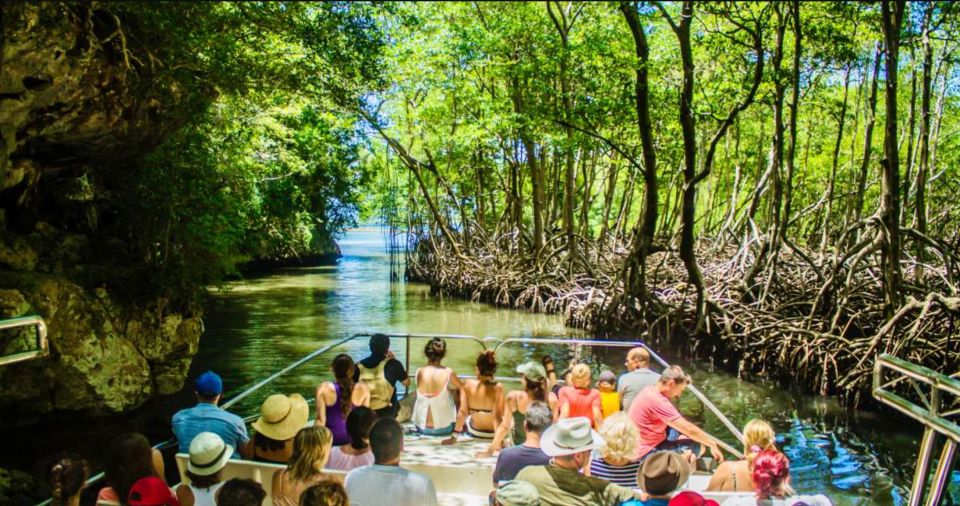 Los Haitises Boat Tour & Natural Pools Spa Cano Hondo - Inclusions