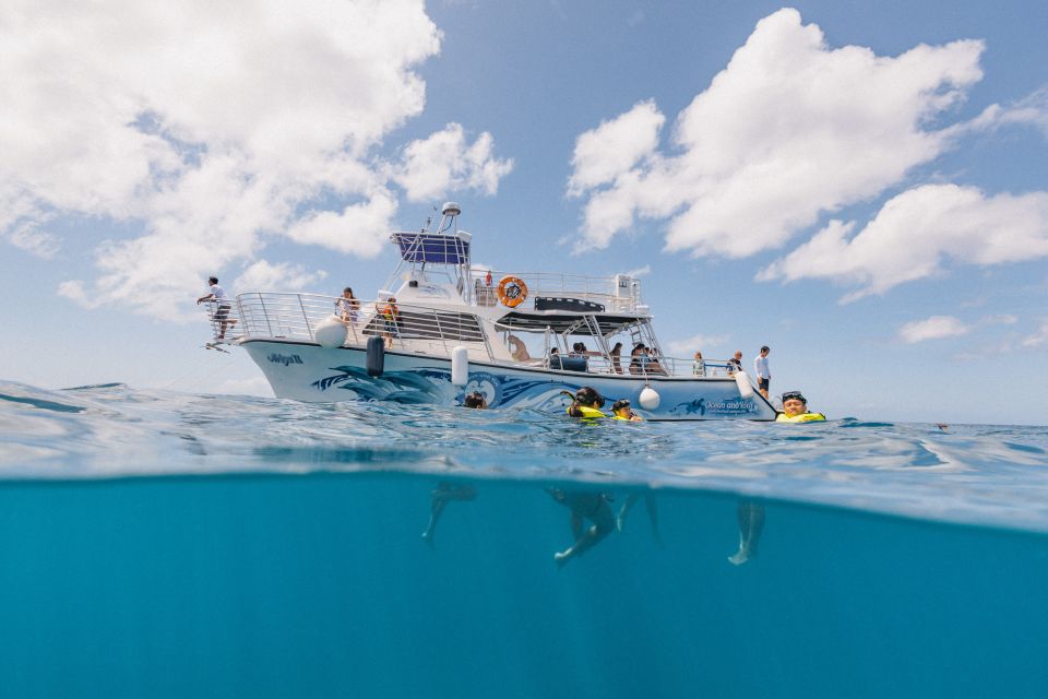 Oahu: Turtle Canyon Snorkeling & Hula Dance - Inclusions