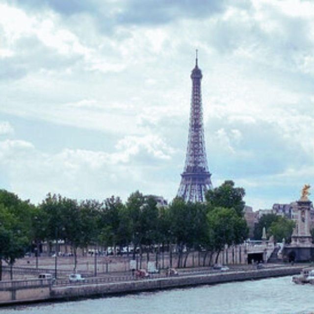 Paris: Half-Day Private City Tour - Luxury Transportation and Guide