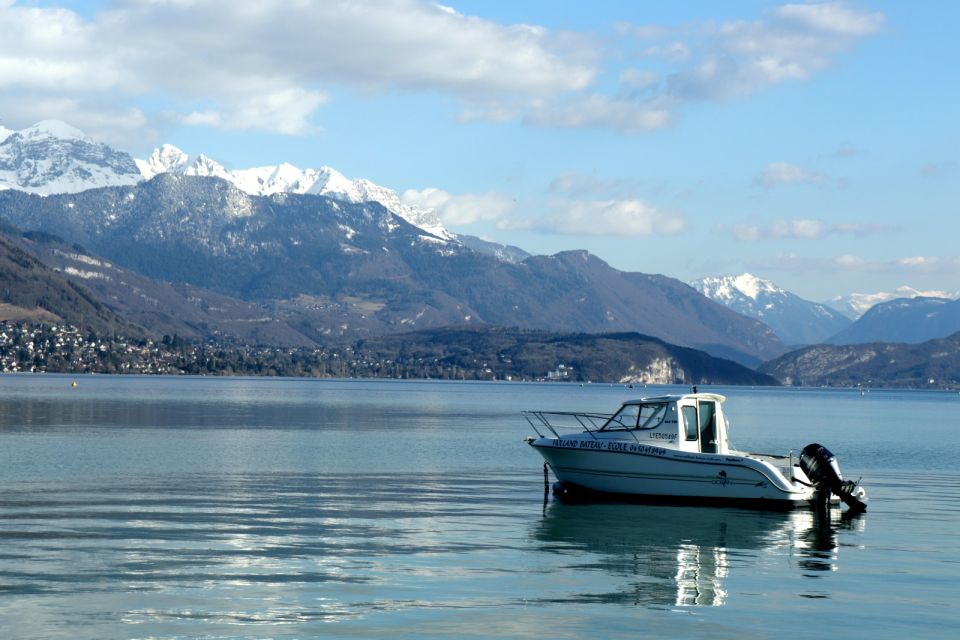 Private 2-Hour Walking Tour of Annecy With Official Guide - Inclusions